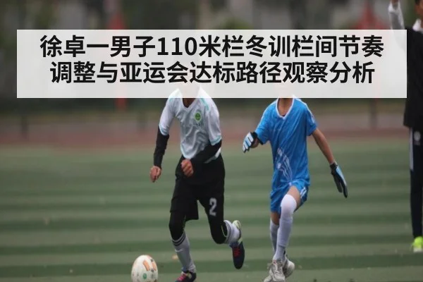 徐卓一男子110米栏冬训栏间节奏调整与亚运会达标路径观察分析
